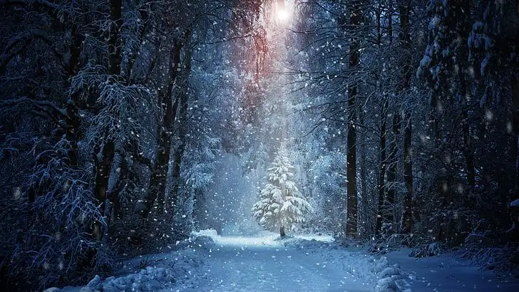 Best Snowfall Places in Himachal Pradesh: A Winter Wonderland