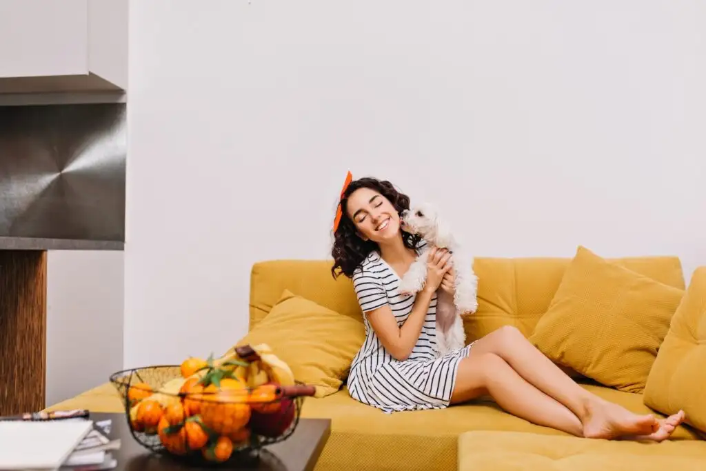 Traveling with Pets: Tips for a Smooth Journey